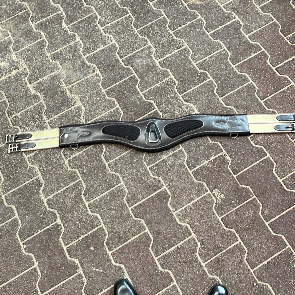 Dover anatomical girth